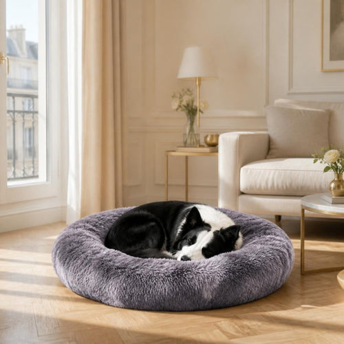 Lit Donut apaisant gris perle, chien endormi dans un salon élégant