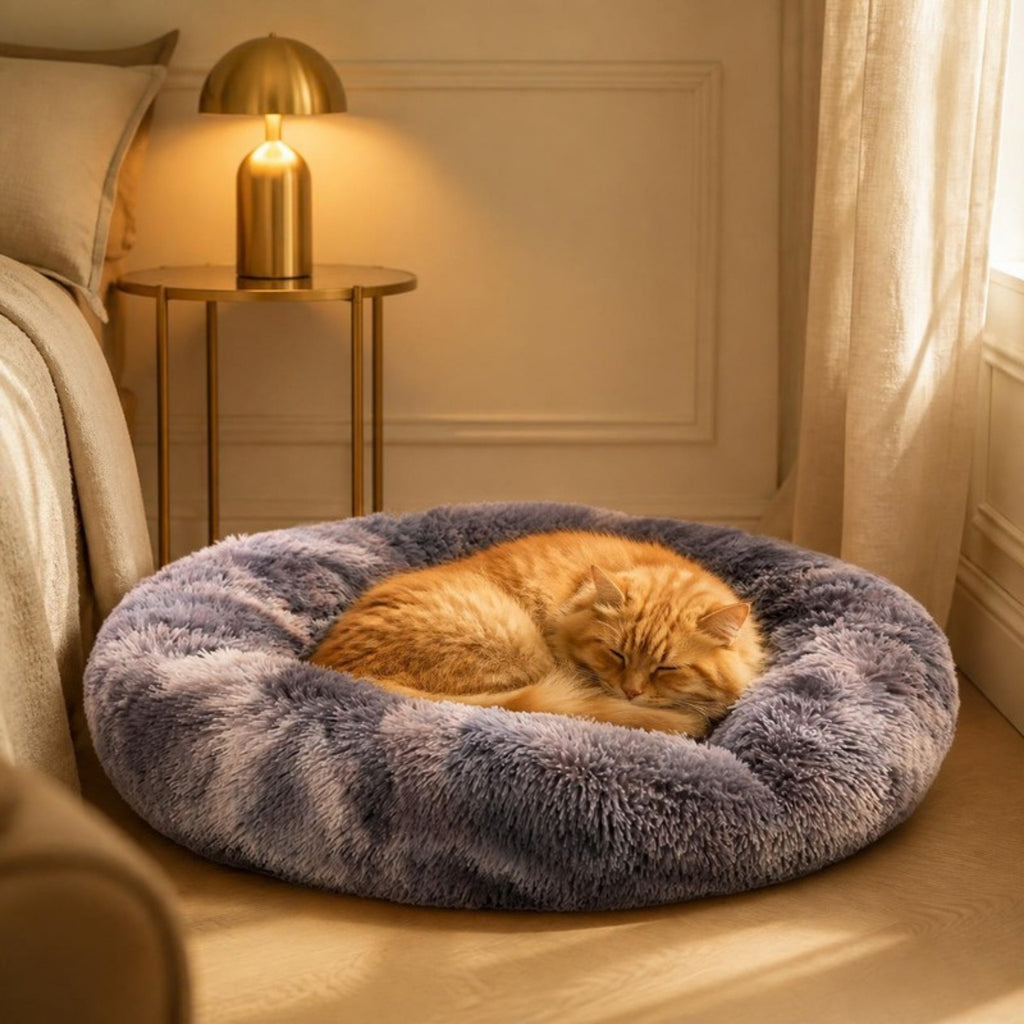 Chat roux endormi dans le lit Donut apaisant