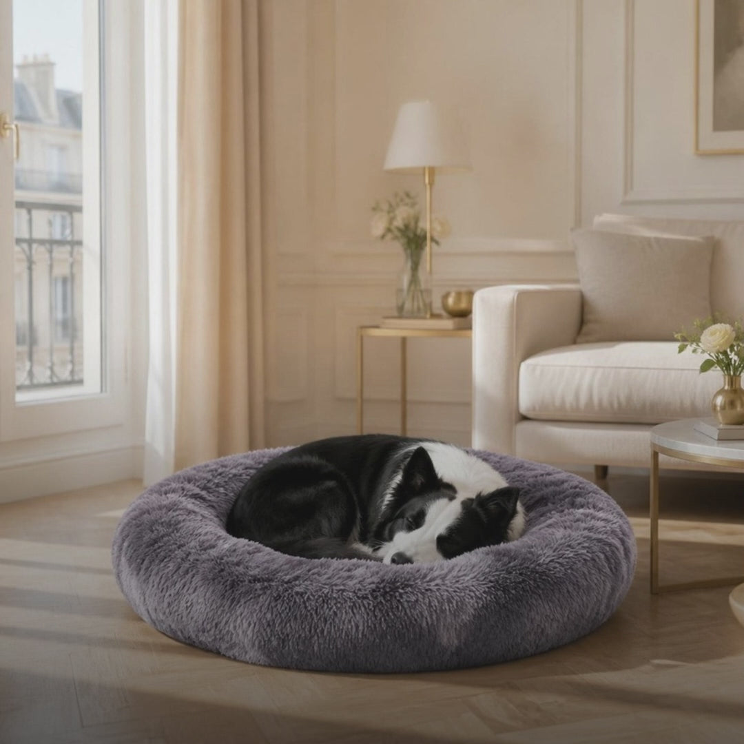 Film GS Animal Care – Lit Donut apaisant